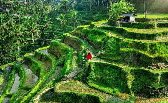 BALİ & SİNGAPUR TURU 