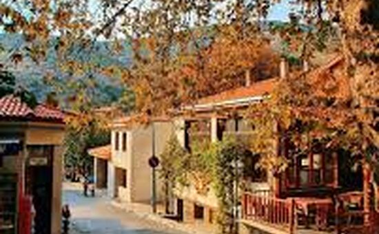  ÖDEMİŞ BİRGİ GÖLCÜK  TURU