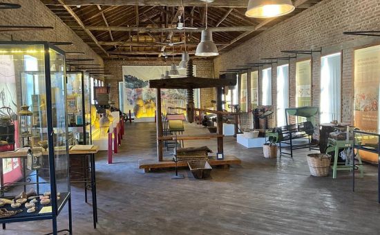 Assos Behramkale & Kazdağları Turu